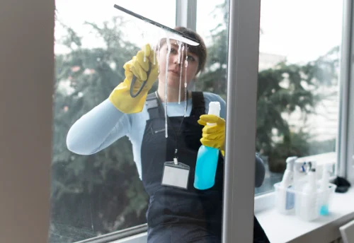 Nettoyage de vitres intérieures et extérieures à Sotta